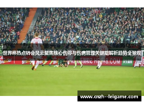 世界杯热点转会风云聚焦核心伤停与伤病管理关键期解析趋势全景观